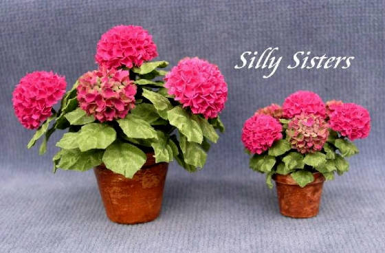 hortensia3.jpg