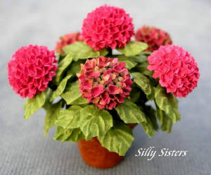 workshophortensia3.jpg