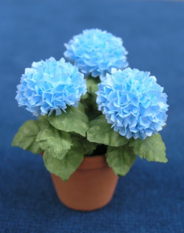 hortensia1.jpg